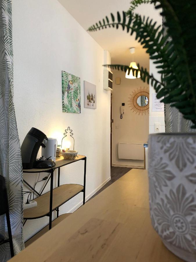 Equateur-Centre Jaude Apartment แคลร์มงต์-แฟร์รองด์ ภายนอก รูปภาพ
